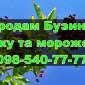 Реалізую ягоду бузини, власної заморозки!Ціна Договірна - фото № 1