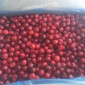 Вишня замороженная без косточки - фото № 2