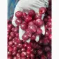 Продам вишня б/к шокова заморозка - фото № 5