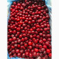 Заморожена вишня без кісточки ( 10 кг ) - фото № 1