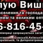 Покупаю вишню 2025 года урожайного - фото № 1