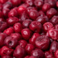 Купимо заморожену вишню від 20 тон оптом - фото № 1