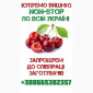 Купуємо вишню - фото № 1