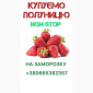 Купуємо полуницю - фото № 1