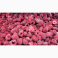 Продам малину заморожену 80/20 - фото № 1