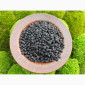 Аронія сушена, горобина чорноплідна, арония черноплодная - фото № 1