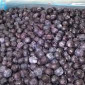 Продам заморожену чорницю оптом - фото № 1