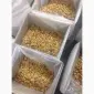 Продам ядро цельного грецкого ореха от производителя от 20 тонн - фото № 1
