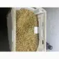 Продам чистую ореховую крошку 4-6 мм - фото № 1