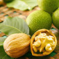 Куплю грецький горіх - фото № 1