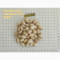 Фисташка жареная соленая - 9, 40 $/kg, USA, US Extra No. 1, 21/27, опт - фото № 1