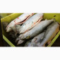 Рыба свежемороженная - фото № 15