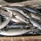 Рыба свежемороженная - фото № 7