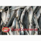 Лосось, Мойва, Оселедець, Риба Аргентина, Скумбрія, Хек. Оптом. Власний імпотрт - фото № 6