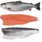 Продаем лосось замороженный и морепродукты оптом - фото № 1