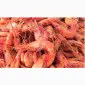 Продаем лосось замороженный и морепродукты оптом - фото № 3