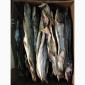 Щука вяленая - фото № 1