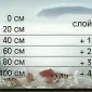 Карпы Кои Украина - фото № 8