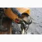 Зариблення водойми у 2024 - фото № 1