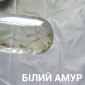 Личинка коропа, білого амура, білого товстолоба та гібрида б.т. в сторону білого - фото № 3