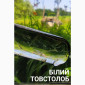 Личинка амура, білого товстолоба та гібрида Б.Т. в сторону білого - фото № 8