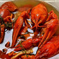 Раки живые и вареные - фото № 7