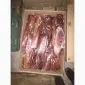 Продам говяжьи полу туши - фото № 12