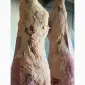 Продам говядину полу туши и на кости от производителя с 20 тонн. - фото № 1