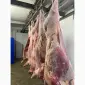 Продам говядину полу туши и на кости от производителя с 20 тонн. - фото № 4