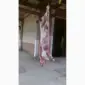 Продам говядину и от производителя с 20 тонн. - фото № 10