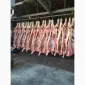 Продам на экспорт полутуши говядины. От производителя с 20 тонн Кроме Европи - фото № 12