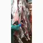 ПрАТ АГРО-ПРОДУКТ продает охлажденное мясо на кости и кусочное мясо быка и коровы - фото № 2