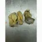 ПрАТ АГРО-ПРОДУКТ продає вуха - фото № 2