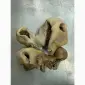 ПрАТ АГРО-ПРОДУКТ продає вуха - фото № 4