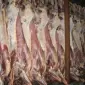 Мясо Полутуши - фото № 1