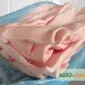 Продам сало хребтове Польща - фото № 1