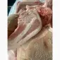 Продам баки свині - фото № 1