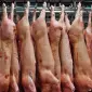 Тушки свинины охлаждённые Одесса цена - фото № 1
