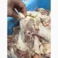 Куплю каркас курячий - фото № 4