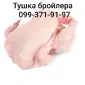 Тушка бройлера - фото № 1