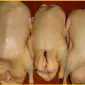 Мясо тушка мускусной утки шипуна индо-утки - фото № 4