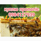 Куплю прополіс постійно - фото № 1