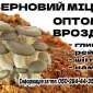 Мицелий - фото № 2