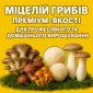 Мицелий - фото № 1