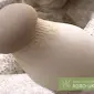 Мицелий вешенки королевской - фото № 1