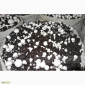 Мицелий шампиньонов зерновой первичный (не пересажен!) высылаю из Киева новой почтой - фото № 4