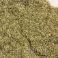 Ежа сборная/ Грястиця збірна. Можливий продаж з ПДВ - фото № 2