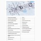 Оригінальні запчастини і комплектуючи до Зернодробарок та Кормозмішувачів M-ROL - фото № 10