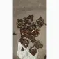 Запчасти 1-Д6, 1-Д12, 3Д-6, 3-Д12, 7-Д6, 7-Д12, У1Д6 в Сумы, Полтава, Черкассы, Чернигов, Киев - фото № 15