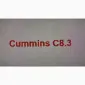 Запчастини двигуна Cummins C8.3 - фото № 1